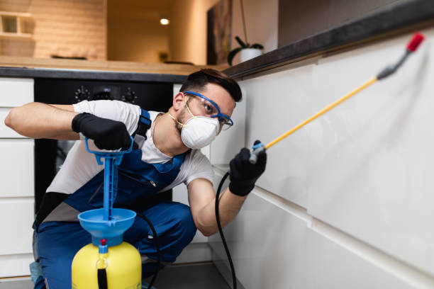Best Residential Pest Control  in Greendale, IN