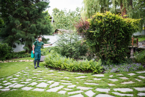Best Emergency Pest Control  in Greendale, IN