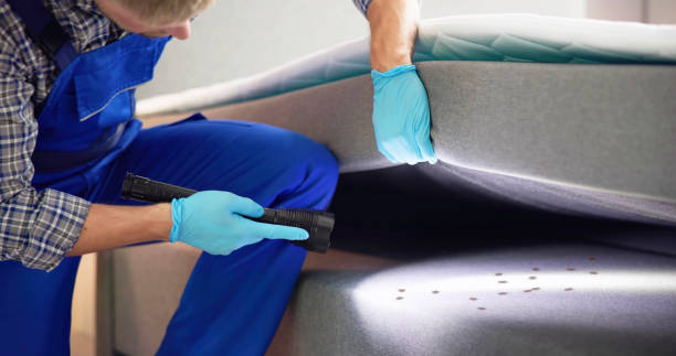 Best Termite Control Services  in Greendale, IN