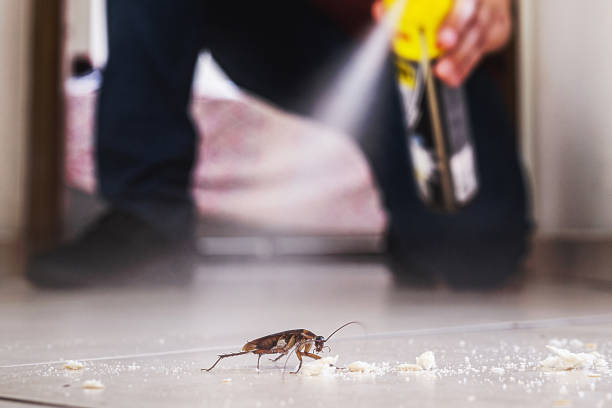 Best Pest Control Near Me in Greendale, IN