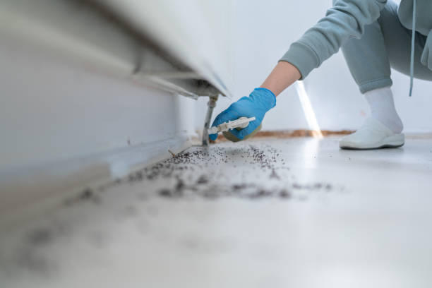 Best Affordable Pest Control Services  in Greendale, IN
