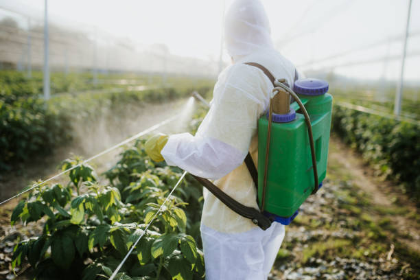 Pest Control for Restaurants in Greendale, IN